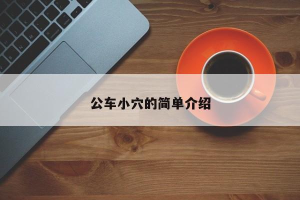 公车小穴的简单介绍