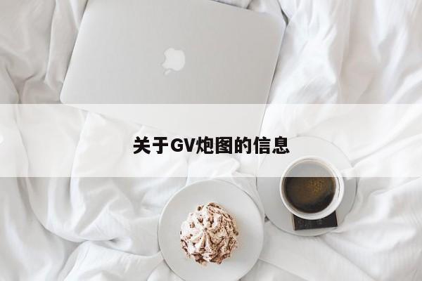 关于GV炮图的信息