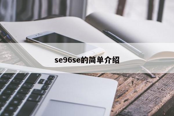se96se的简单介绍