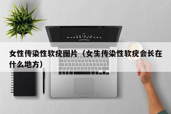 女性传染性软疣图片(女生传染性软疣会长在什么地方)