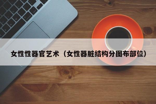 女性性器官艺术(女性器脏结构分图布部位)