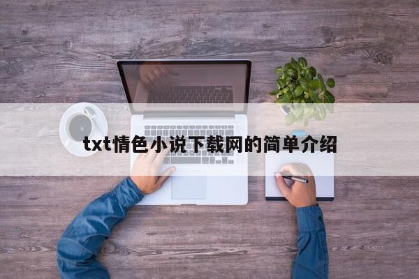 txt情色小说下载网的简单介绍