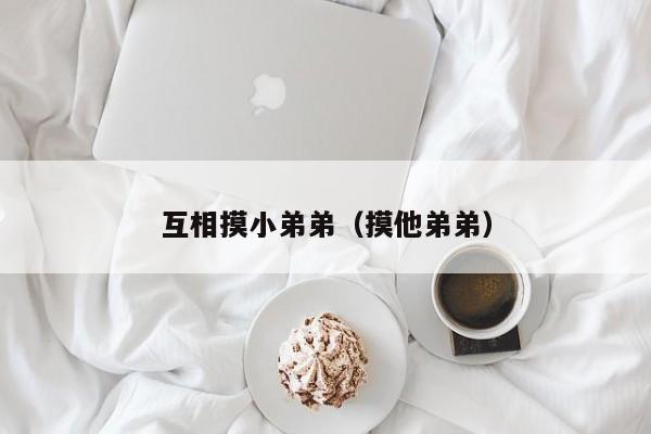 互相摸小弟弟(摸他弟弟)