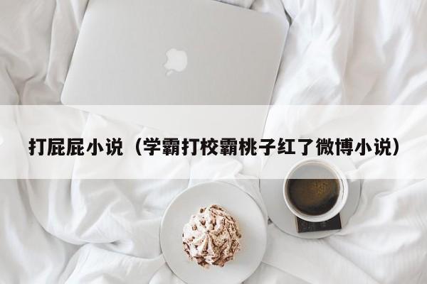 打屁屁小说(学霸打校霸桃子红了微博小说)