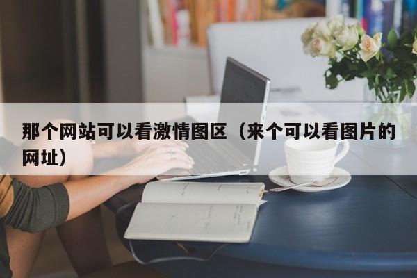 那个网站可以看激情图区(来个可以看图片的网址)
