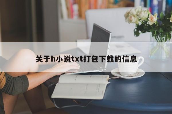 关于h小说txt打包下载的信息