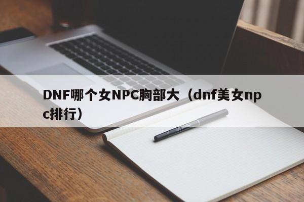 DNF哪个女NPC胸部大(dnf美女npc排行)