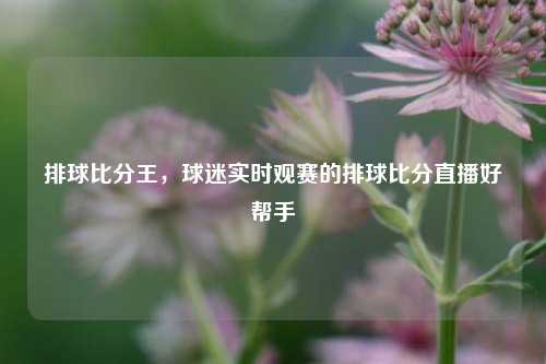 排球比分王，球迷实时观赛的排球比分直播好帮手