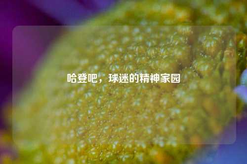 哈登吧,球迷的精神家园
