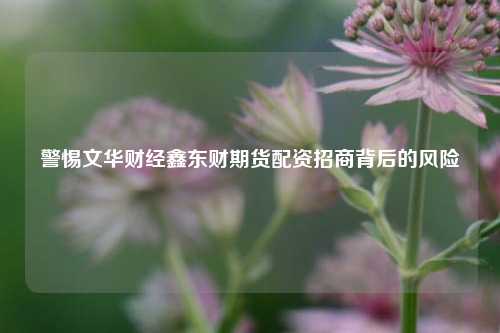 警惕文华财经鑫东财期货配资招商背后的风险