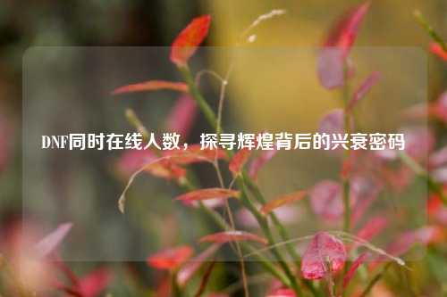 DNF同时在线人数，探寻辉煌背后的兴衰密码
