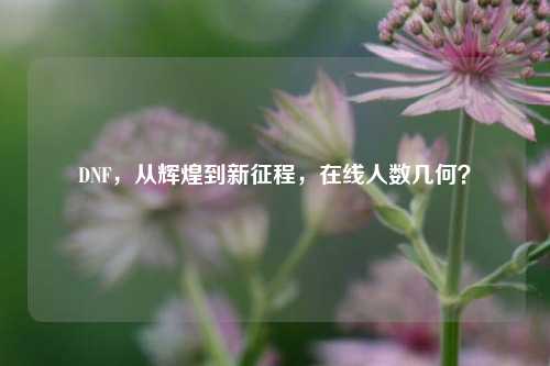 DNF,从辉煌到新征程,在线人数几何?