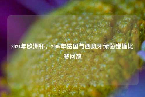2024年欧洲杯，2006年法国与西班牙绿茵碰撞比赛回放
