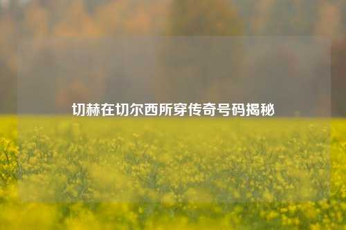 切赫在切尔西所穿传奇号码揭秘