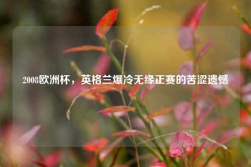 2008欧洲杯,英格兰爆冷无缘正赛的苦涩遗憾