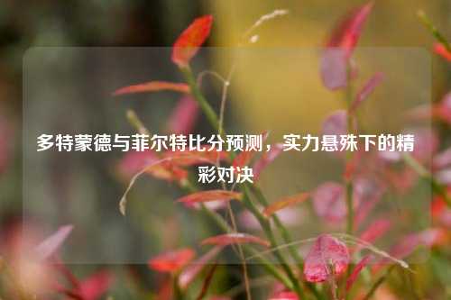 多特蒙德与菲尔特比分预测，实力悬殊下的精彩对决