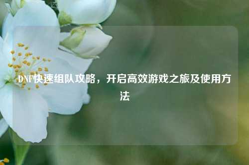 DNF快速组队攻略，开启高效游戏之旅及使用     