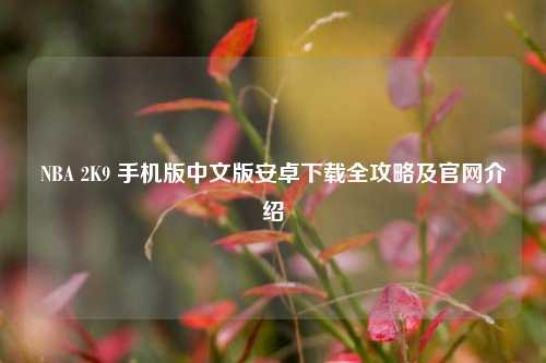 NBA 2K9 手机版中文版安卓下载全攻略及官网介绍