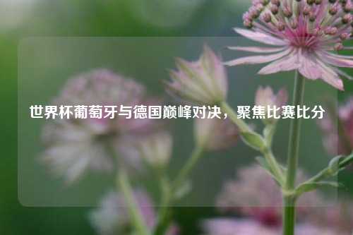 世界杯葡萄牙与德国巅峰对决，聚焦比赛比分