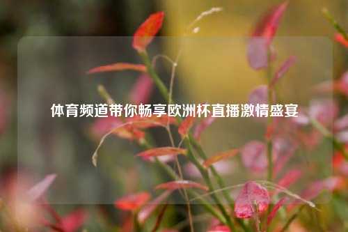 体育频道带你畅享欧洲杯直播     盛宴