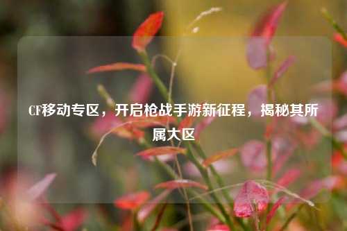 CF移动专区，开启枪战手游新征程，揭秘其所属大区