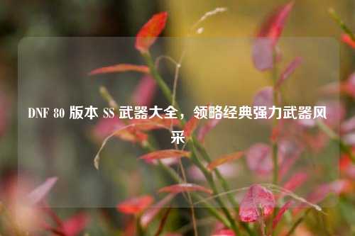 DNF 80 版本 SS 武器大全，领略经典强力武器风采