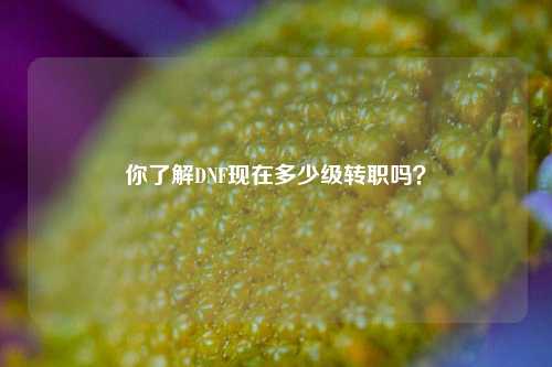 你了解DNF现在多少级转职吗?