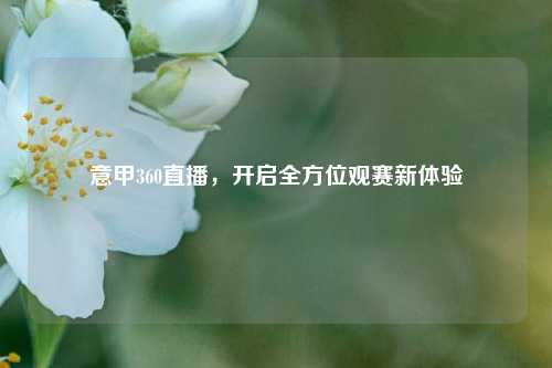 意甲360直播,开启全方位观赛新体验