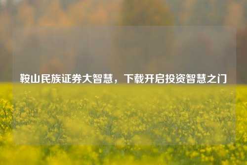 鞍山民族证券大智慧，下载开启投资智慧之门