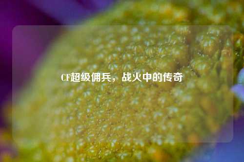CF超级佣兵，战火中的传奇