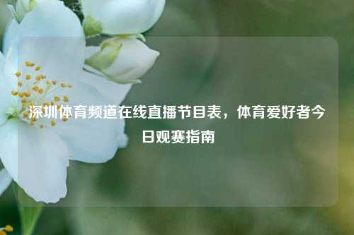 深圳体育频道在线直播节目表,体育爱好者今日观赛指南