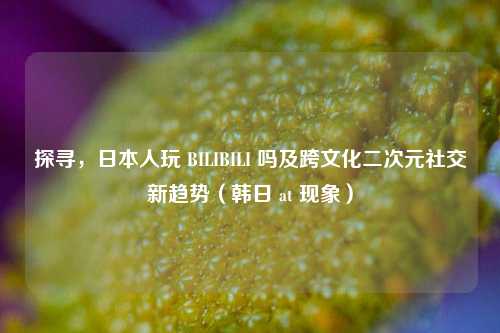 探寻,日本人玩 BILIBILI 吗及跨文化二次元社交新趋势(韩日 at 现象)