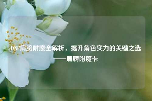 DNF肩膀附魔全解析,提升角色实力的关键之选——肩膀附魔卡