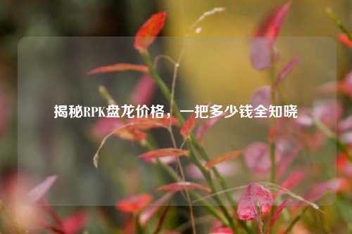 揭秘RPK盘龙价格，一把多少钱全知晓