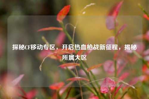 探秘CF移动专区,开启热血枪战新征程,揭秘所属大区
