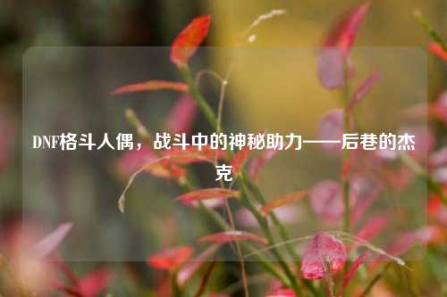 DNF格斗人偶，战斗中的神秘助力——后巷的杰克