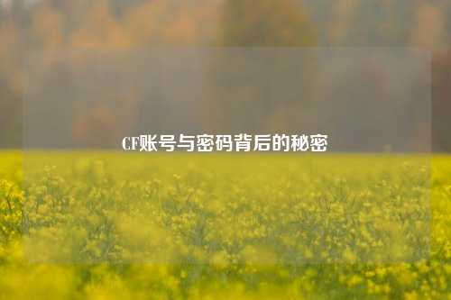 CF账号与密码背后的秘密