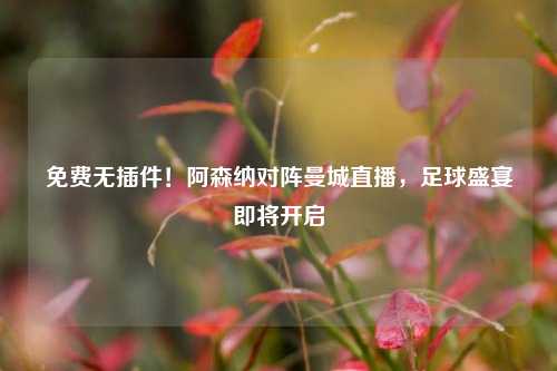 免费无插件!阿森纳对阵曼城直播,足球盛宴即将开启