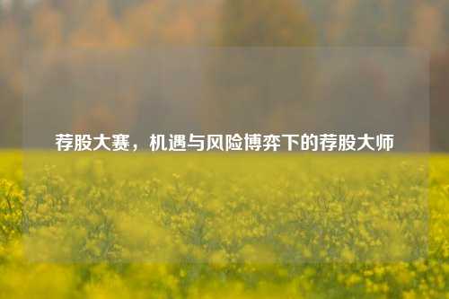 荐股大赛,机遇与风险博弈下的荐股大师