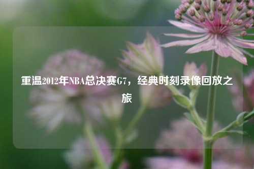 重温2012年NBA总决赛G7,经典时刻录像回放之旅
