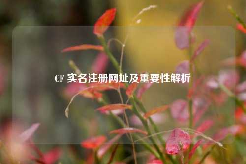 CF 实名注册网址及重要性解析
