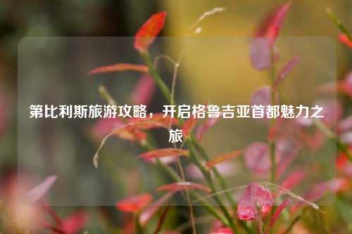 第比利斯旅游攻略,开启格鲁吉亚首都魅力之旅