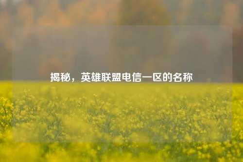 揭秘，英雄联盟电信一区的名称