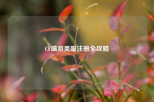CF端游美服注册全攻略